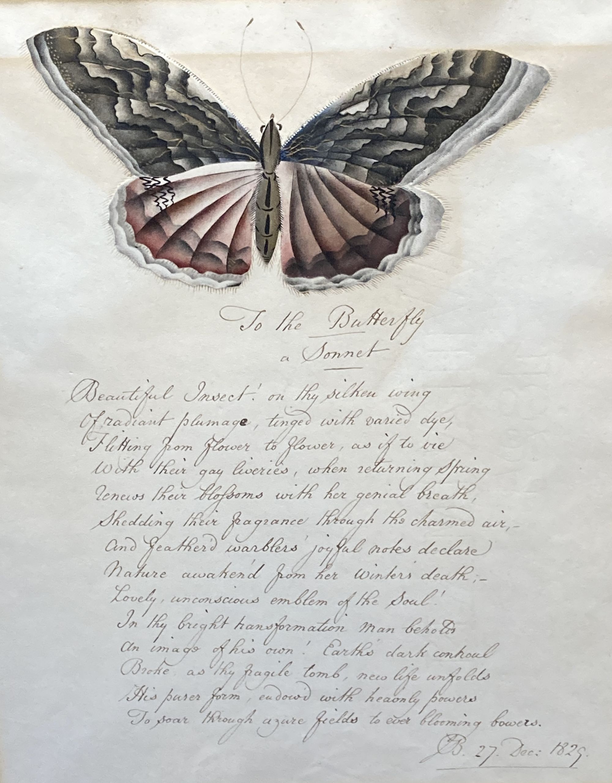 19th century English School, ink and watercolour, To The Butterfly A Sonnet, monogrammed and dated 1829, 28 x 21cm